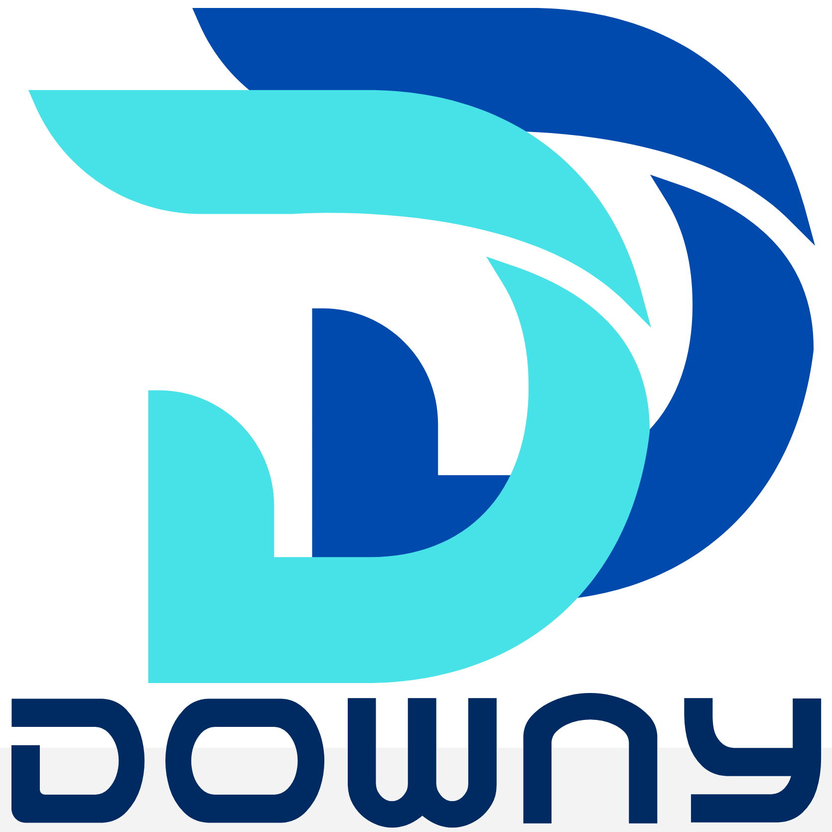 株式会社ダウニー